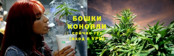 соль курить ск Богданович