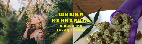 соль курить ск Богданович