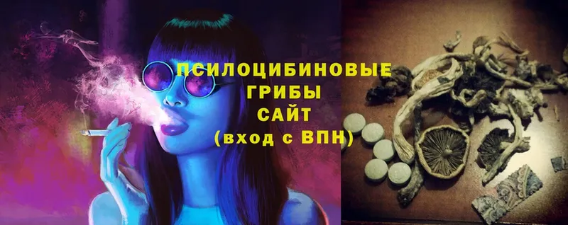 Псилоцибиновые грибы Magic Shrooms  где найти   Электроугли 